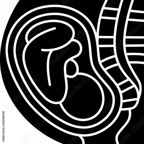 embryo  icon