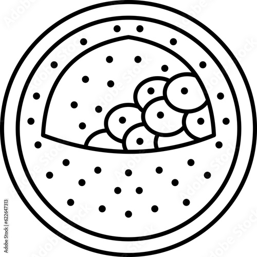 blastocyst  icon