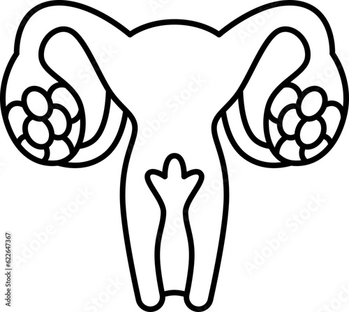 ovary  icon