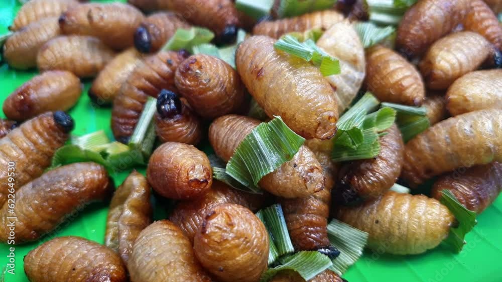 Larva palm worm weevil deep fried fat insect snack sell exotic food in Southeast Asia market Larva palm worm weevil deep fried fat insect snack sell exotic food in Southeast Asia market
