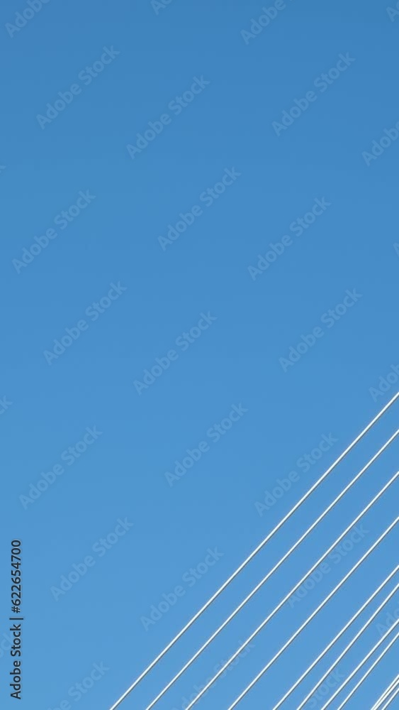 Port Mann bridge Canada. over Fraser River in BC interesting unusual footage of bridge from bottom up beautiful white cables stretched support mighty strong bridge green trees railroad Earth on siphon Port Mann bridge Canada. over Fraser River in BC interesting unusual footage of bridge from bottom up beautiful white cables stretched support mighty strong bridge green trees railroad Earth on siphon