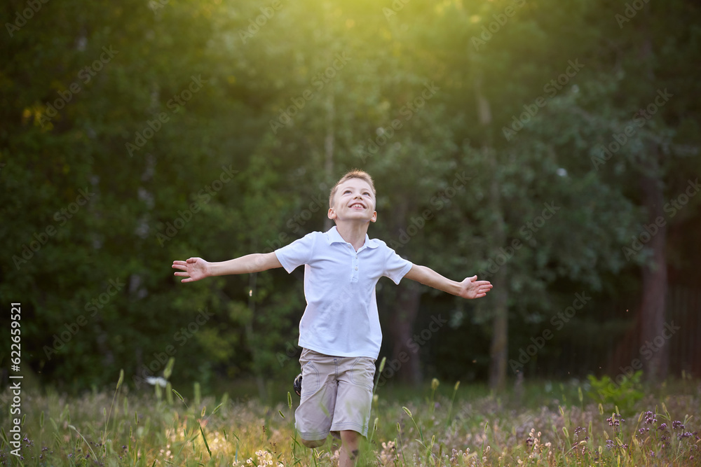 A little boy runs through the meadow with his arms wide open have fun A little boy runs through the meadow with his arms wide open have fun