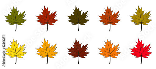Autumn leaves vector set. Colorful and bright cartoon style. Maple leaves isolated on white background.