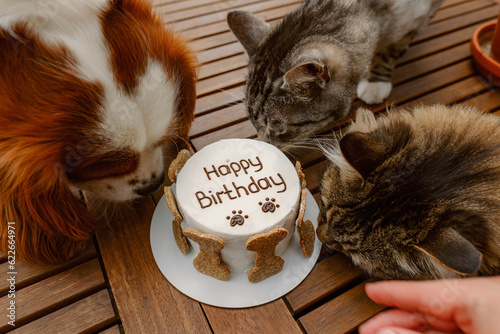 Canvas Print Animal's birthday party