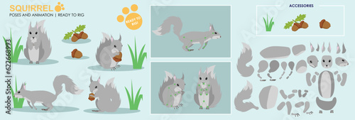 Grey Squirrel ready to animate with multiple poses and angles. Cut woodland creatures rig ready, running, sitting, eating. Collection vector set character for animation