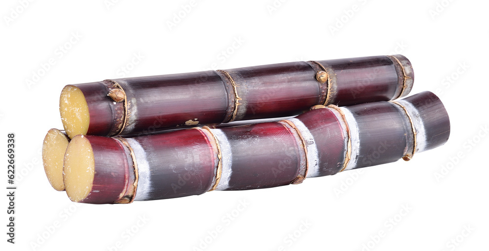 sugarcane on transparent png sugarcane on transparent png