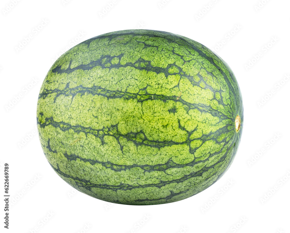 watermelon on transparent png