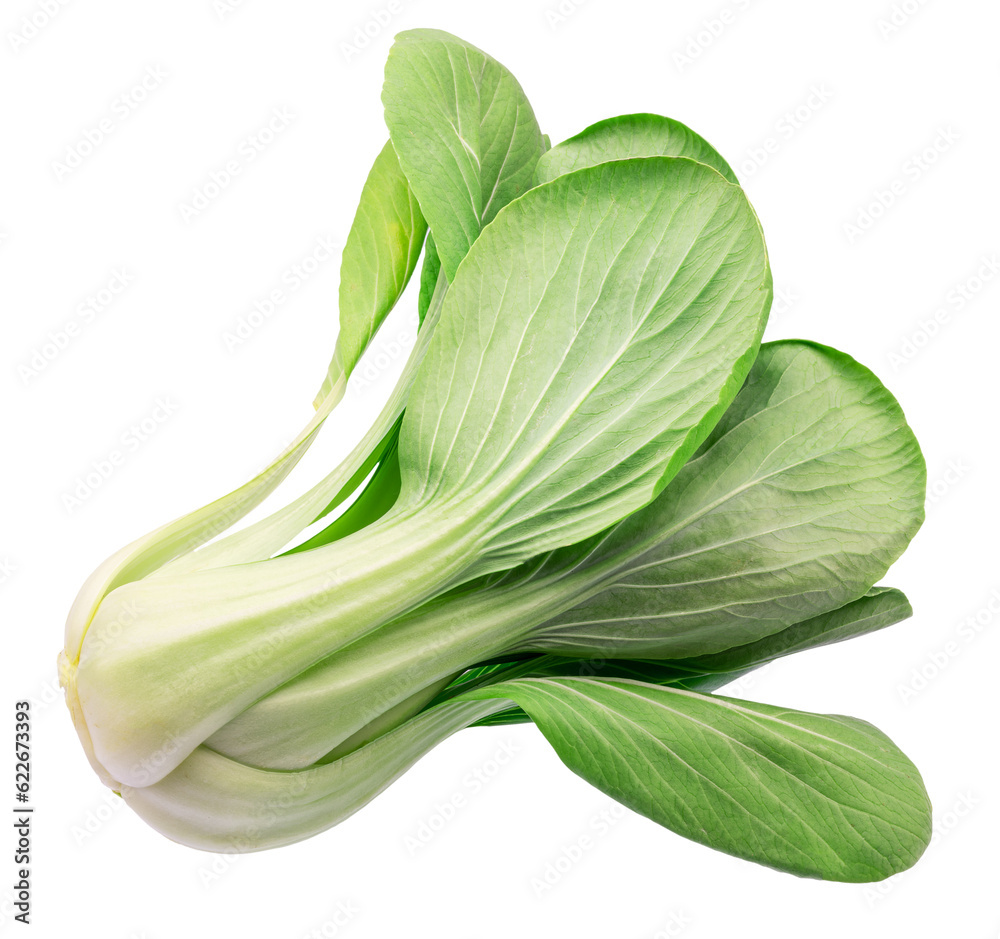 Bok choy or chinese cabbage isolated on white background. File contains clipping path. Bok choy or chinese cabbage isolated on white background. File contains clipping path.