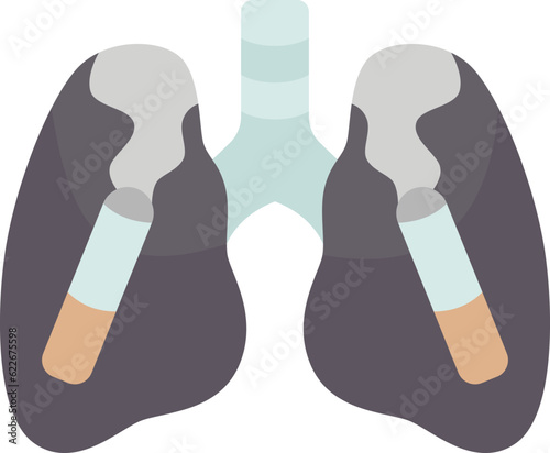 lungs  icon