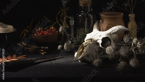 Samhain altar. Magic items with goats skull, dry herbs, witches knife and glass vessels in the dark, low key, selective focus.