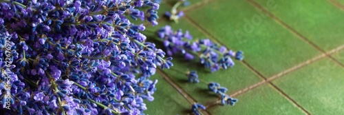 Bouquet of fresh lavender on a green textural background. Fragrant flower of medicinal herbs, copy space.