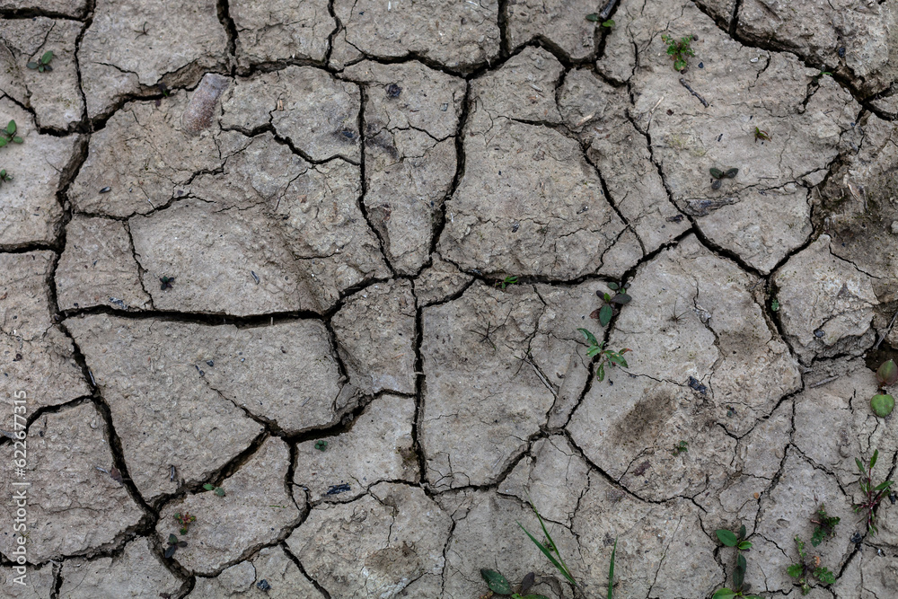 Dry soil during drought Dry soil during drought