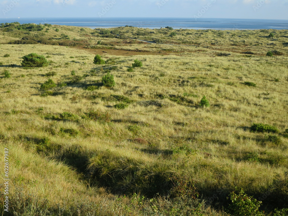 Duinen op Vlieland, Dunes at Vlieland Duinen op Vlieland, Dunes at Vlieland