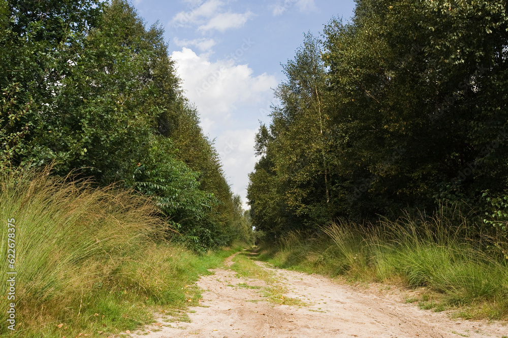 Fototapeta premium Landscape at Engbertsdijksvenen