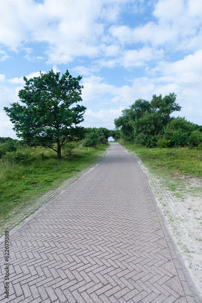 Landscape at Meijendel Landscape at Meijendel