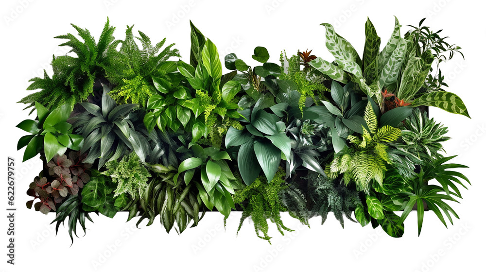 Tropical leaves foliage plant jungle bush floral arrangement nature backdrop isolated on white background, clipping path included - obrazy, fototapety, plakaty 