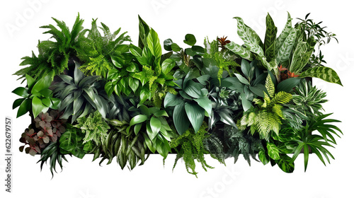 Stampa su tela Tropical leaves foliage plant jungle bush floral arrangement nature backdrop iso