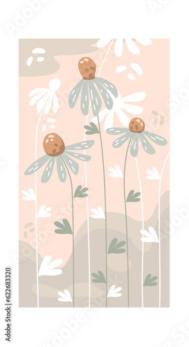 Vector floral background with abstract chamomile. Summer card with tender flower on a beige background.