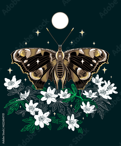 Motte Nachtfalter Tattoo mit Buschwindröschen. Vektor Design für den Frühling mit  Blumen Mond und Sternen. 