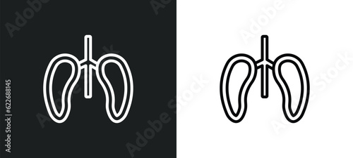 respiration outline icon in white and black colors. respiration flat vector icon from sauna collection for web, mobile apps and ui.