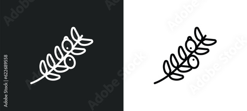 olive branch outline icon in white and black colors. olive branch flat vector icon from religion collection for web, mobile apps and ui.