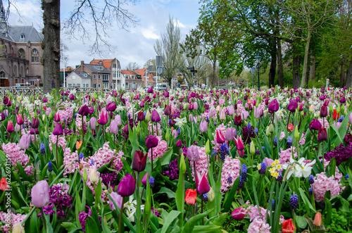 Alkmaar, Niederlande © Ralf