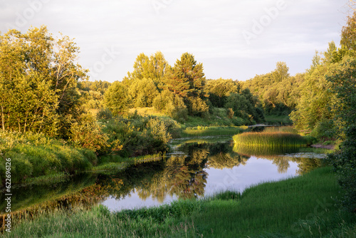 Summer sunset landscape with river and forest