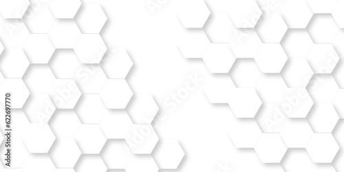 Fototapeta Naklejka Na Ścianę i Meble -  Background with white and black lines 3d Hexagonal structure futuristic white background and Embossed Hexagon , honeycomb white Background ,light and shadow ,Vector.