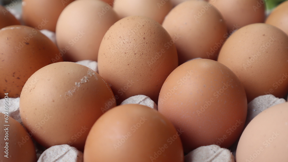 Chicken brown eggs in packing, the top view. Food, close up. Chicken brown eggs in packing, the top view. Food, close up.