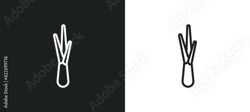 lemongrass outline icon in white and black colors. lemongrass flat vector icon from nature collection for web, mobile apps and ui.