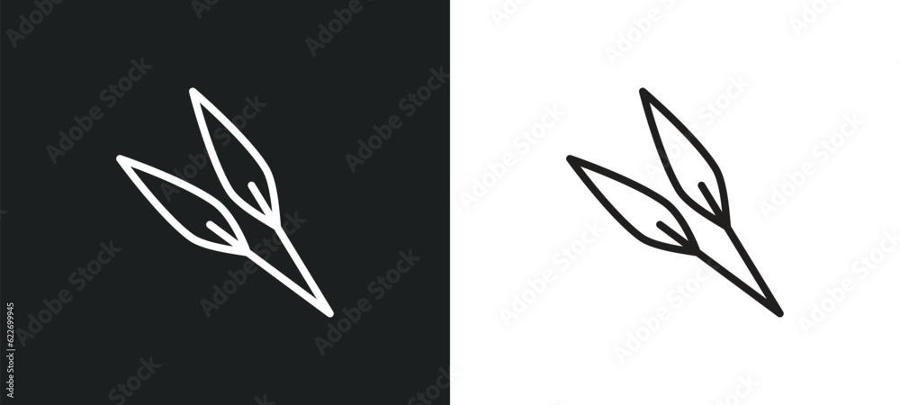 acicular outline icon in white and black colors. acicular flat vector icon from nature collection for web, mobile apps and ui.