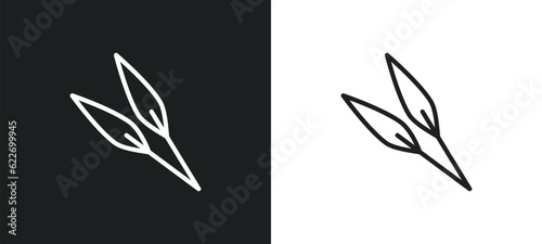 acicular outline icon in white and black colors. acicular flat vector icon from nature collection for web, mobile apps and ui.
