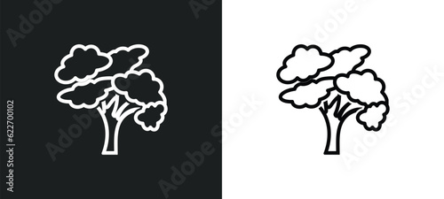 american elm tree outline icon in white and black colors. american elm tree flat vector icon from nature collection for web, mobile apps and ui.