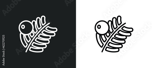 yew leaf outline icon in white and black colors. yew leaf flat vector icon from nature collection for web, mobile apps and ui.