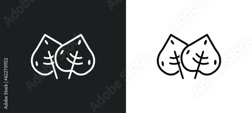 linden leaf outline icon in white and black colors. linden leaf flat vector icon from nature collection for web, mobile apps and ui.