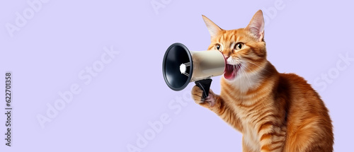 Funny red cat is holding a loudspeaker and screaming on a purple background. photo