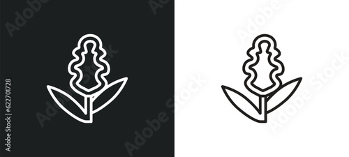hyacinth outline icon in white and black colors. hyacinth flat vector icon from nature collection for web, mobile apps and ui.