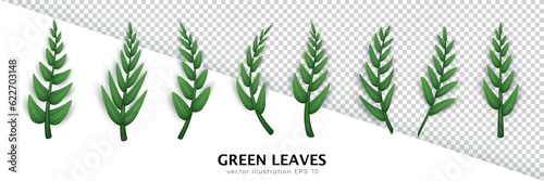 Set of various realistic twigs with green leaves isolated on transparent background. Design elements with different 3d tree branches clip art. Vector illustration with herbs, foliage