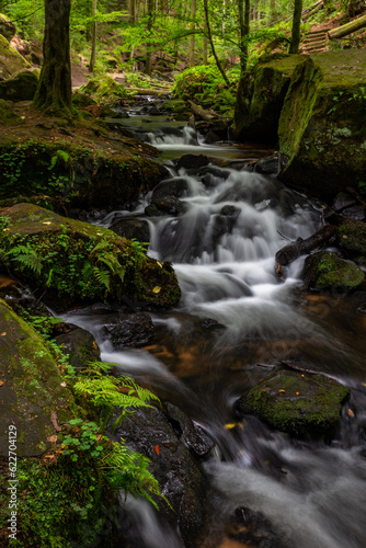 Creek of Moosalbe in Kalstalschlucht with small Waterfalls, Rhineland-Palatinate, Germany, Europe
