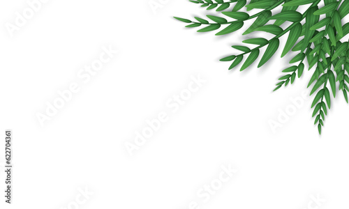 Blank white banner with realistic twigs with green leaves in the corner. Poster  background with olive tree branches. Wallpaper with herbs  foliage and copy space. 
