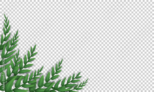 Blank transparent banner with realistic twigs with green leaves in the corner. Poster, background with olive tree branches. Wallpaper with herbs, foliage and copy space. 