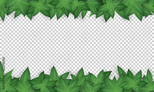 Blank transparent banner with realistic green leaves above and below. Poster, background with natural frame. Wallpaper with herbs, foliage and copy space. 