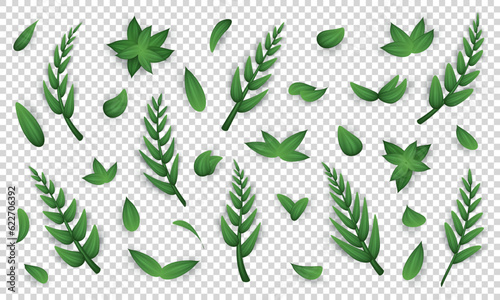 Big set of various realistic twigs and green leaves isolated on transparent background. Design elements with different 3d tree branches clip art. Collection of vector herbs, foliage