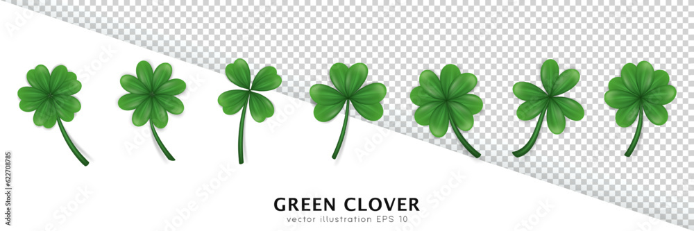 Set of realistic vector green clovers various shape isolated on ...