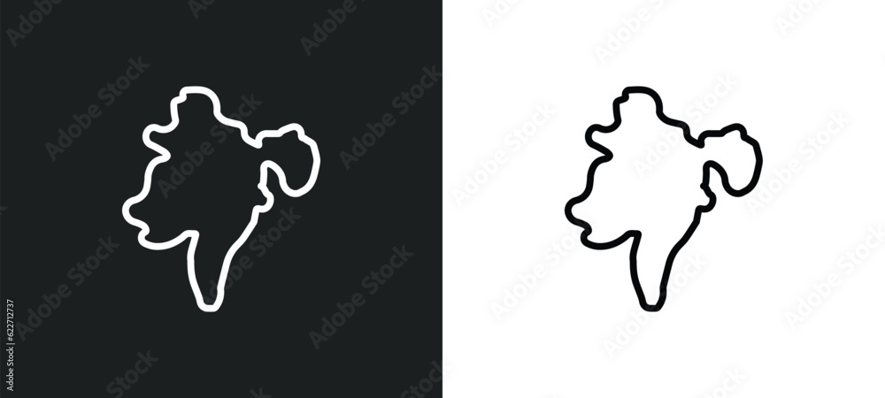 assam outline icon in white and black colors. assam flat vector icon from india collection for web, mobile apps and ui.