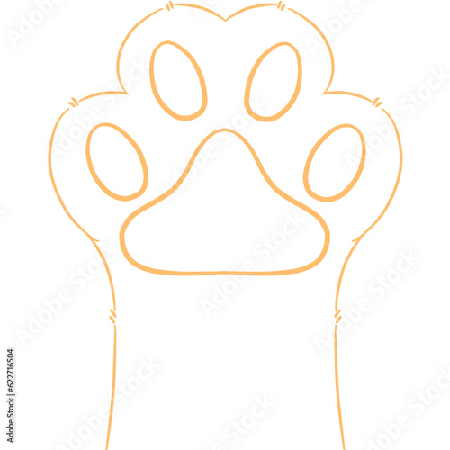 cat foot pattern