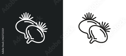 beetroot outline icon in white and black colors. beetroot flat vector icon from fruits collection for web, mobile apps and ui.