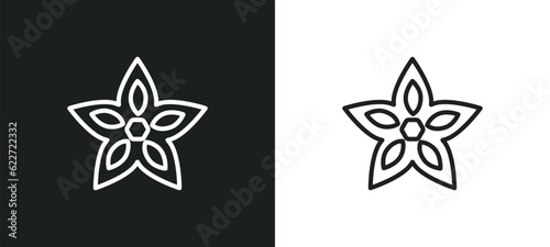 carambola outline icon in white and black colors. carambola flat vector icon from fruits collection for web, mobile apps and ui.