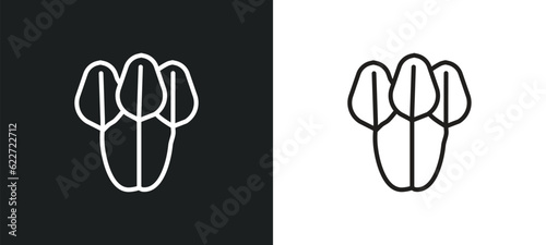 spinach outline icon in white and black colors. spinach flat vector icon from fruits and vegetables collection for web, mobile apps and ui.