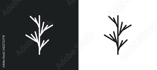 Fototapeta Naklejka Na Ścianę i Meble -  dill outline icon in white and black colors. dill flat vector icon from fruits and vegetables collection for web, mobile apps and ui.